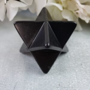 il_794xN.3384027225_fm5e Home Decor~Shungite Large Merkaba