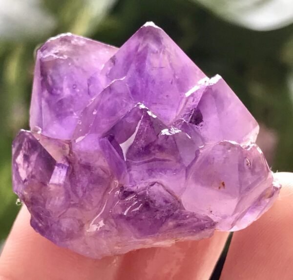 Magicun Crystal~natural amethyst clusters of Lingshi home office amethyst cluster small ornaments