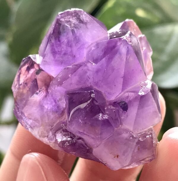 Magicun Crystal~natural amethyst clusters of Lingshi home office amethyst cluster small ornaments