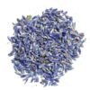 Home Fragrances ~French Lavender Dried Lavender Buds 1/2 Pound, New, Free Shipping