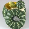 Fairy Collection~Baby Fairy Sleeping In Green Pumpkin Shell Figurine 2.5" High Resin New In Box!