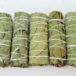 Palo Santo & Sage~5 Eucalyptus Sage Smudge Bundle 4"+ House Cleansing Negativity Removal