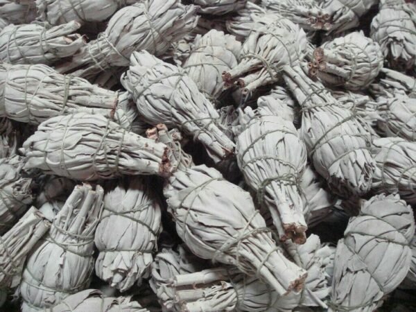 Palo Santo & Sage~California Mini White Sage Smudge Incense 3"-4" Bundle (20 pcs)