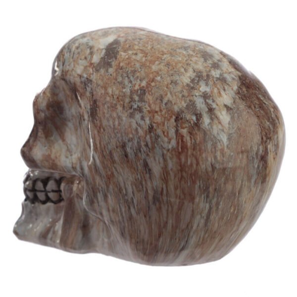 Home Decor~Fantasy Marble Effect Skull Head Ornament Skeleton Fantasy Gothic Figurine
