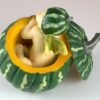 Fairy Collection~Baby Fairy Sleeping In Green Pumpkin Shell Figurine 2.5" High Resin New In Box!