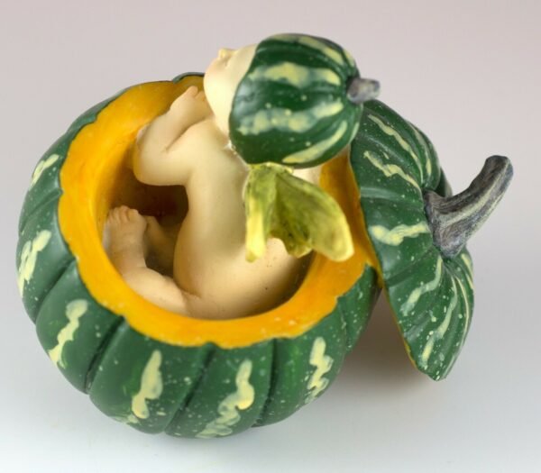 Fairy Collection~Baby Fairy Sleeping In Green Pumpkin Shell Figurine 2.5" High Resin New In Box!