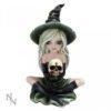 Magicun Giftware~Nemesis Zelda Rosa Aradia Regan Witch Fairy Figurine Skull Ornament Cat Decor