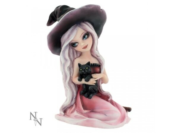 Magicun Giftware~Nemesis Zelda Rosa Aradia Regan Witch Fairy Figurine Skull Ornament Cat Decor