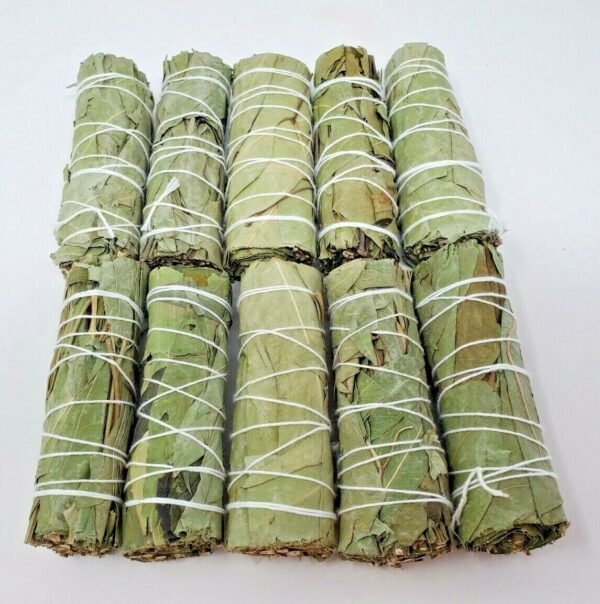 Palo Santo & Sage~10 Eucalyptus Smudge Bundle 4"+ House Cleansing Negativity Removal