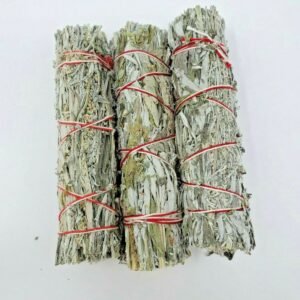Palo Santo & Sage~Black Sage (Mugwort) Smudge Sticks / Wands 4 - 5 " Negativity Removal (3 PACK)