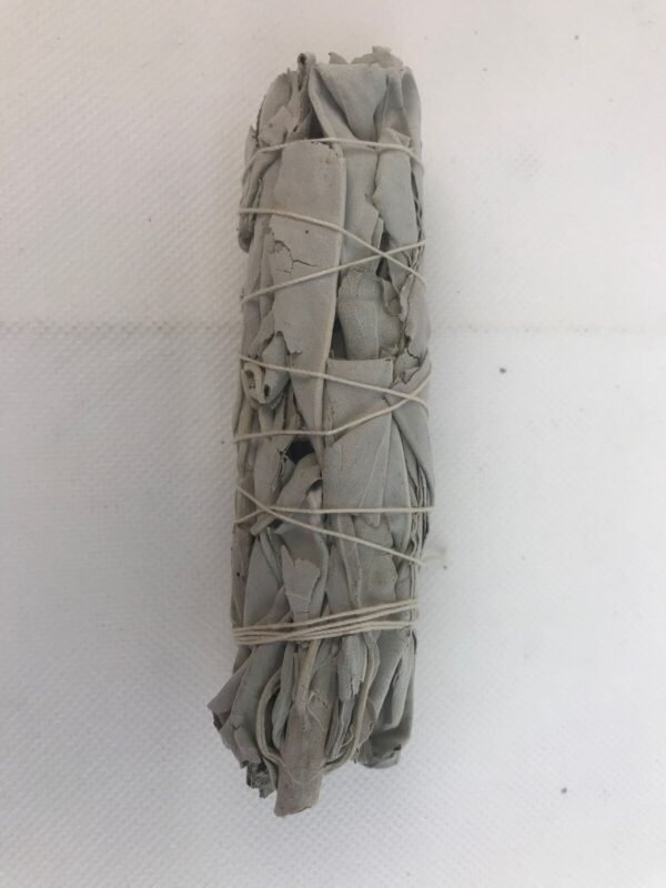 Witchcraft~White Sage Smudge Incense Wand Stick 4 - 5" Cleansing Negativity Removal 1 Stick