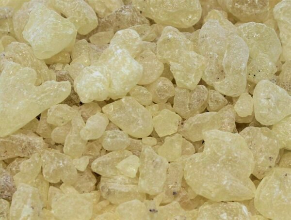 Home Fragrances ~Natural Granular 'A' Grade White Copal Resin Incense: 1 lb