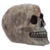 Home Decor~Fantasy Marble Effect Skull Head Ornament Skeleton Fantasy Gothic Figurine