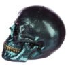 Home Decor~Gothic Iridescent Skull Ornament