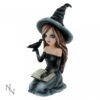 Magicun Giftware~Nemesis Zelda Rosa Aradia Regan Witch Fairy Figurine Skull Ornament Cat Decor