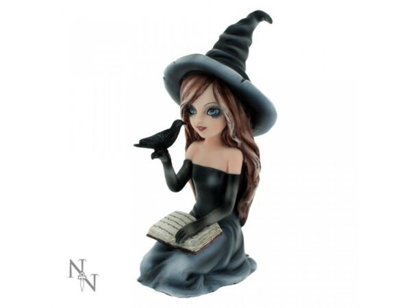 Magicun Giftware~Nemesis Zelda Rosa Aradia Regan Witch Fairy Figurine Skull Ornament Cat Decor