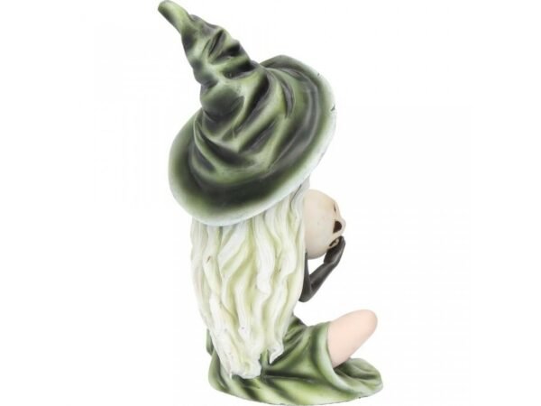Magicun Giftware~Nemesis Zelda Rosa Aradia Regan Witch Fairy Figurine Skull Ornament Cat Decor