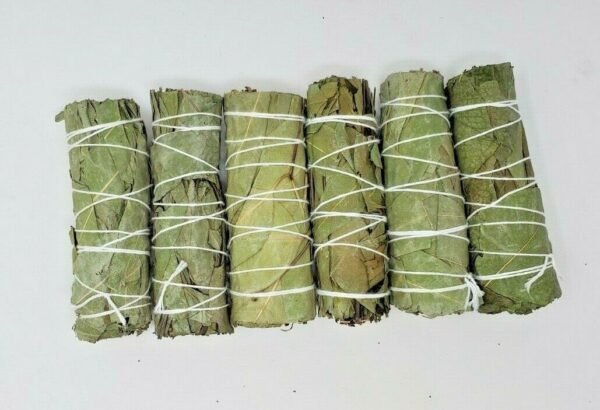 Palo Santo & Sage~5 Eucalyptus Sage Smudge Bundle 4"+ House Cleansing Negativity Removal