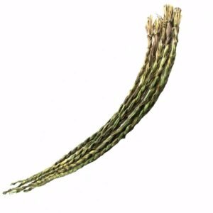 Palo Santo & Sage~1 Sweetgrass Braid 18-24" Hierochloe Odorata Smudge Premium Quality