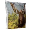 Home Decor~Cushion with Insert - Moose Photo 50 x 50cm