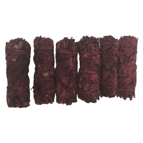 Witchcraft~Dragons Blood & White Sage Incense Wand 4" Cleansing Negativity Removal Stick