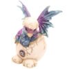 Collectable design~Hatching Baby Dragon Figurine Ornament Dark Legends 1 Sent At Random