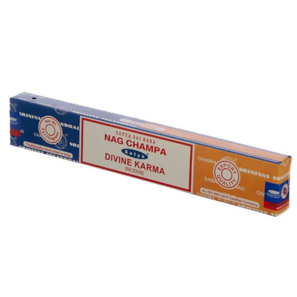 Home Fragrance~SATYA Sai BaBa Nag Champa & Divine Karma Incense Sticks 12 x 14 sticks