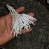 Palo Santo & Sage~California White SAGE Smudge Loose Cluster Incense Bulk (1 pound) NEW FREE SHIP