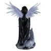 Fairy Collection~Dark Gothic Angel With Wolf Figurine Statue 17.5" High Winged Fairy Warrior New