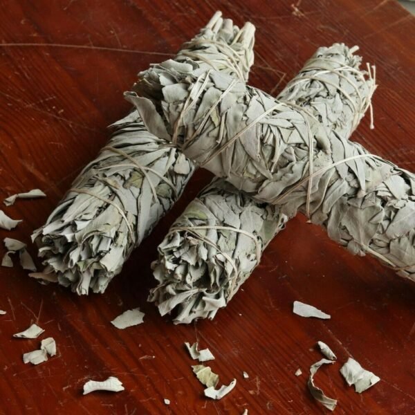Palo Santo & Sage~Two 8-9" Large Jumbo White Sage Smudge Stick