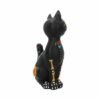 Magicun Giftware~Sugar Mexican Day Of The Dead Skull Cat Art Decoration Ornament Statue Figurine