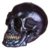 Home Decor~Gothic Iridescent Skull Ornament
