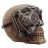 Home Decor~Steam Punk SKULL Ornament Fantasy Figurine Sculpture Gothic Cogs Pagan Wiccan