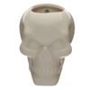 Home Decor~Decorative Ceramic Indoor Wall Planter - Skull