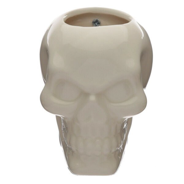 Home Decor~Decorative Ceramic Indoor Wall Planter - Skull
