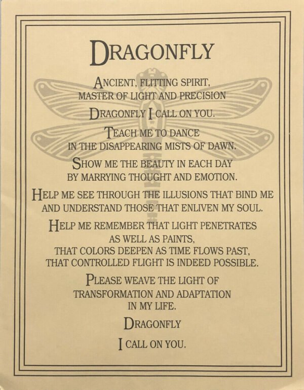 Witchcraft~Dragonfly Prayer Spirit Animal Parchment Page Poster Book Of Shadows Wicca Pagan