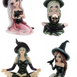 Magicun Giftware~Nemesis Zelda Rosa Aradia Regan Witch Fairy Figurine Skull Ornament Cat Decor