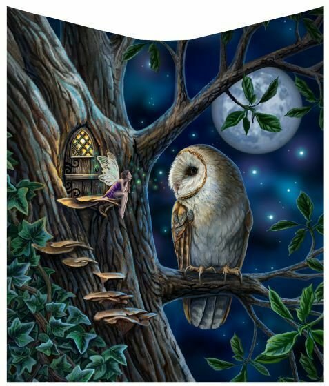 Magicun Giftware~Gothic Fantashy Throw Fleece Blanket By Anne Stokes Lisa Parker James Ryman Gift