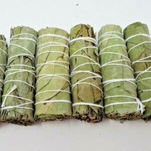 Palo Santo & Sage~6 Pack Eucalyptus Smudge Bundle 4"+ House Cleansing Negativity Removal