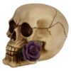 Home Decor~Gothic Skull Decoration with Purple Roses