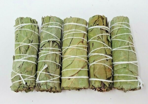 Palo Santo & Sage~10X Eucalyptus Sage Smudge Bundle 4"+ House Cleansing Negativity Removal