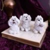 Magicun Giftware~Three Wise Monkeys Figurines Animals Decor See Hear Speak No Evil Ornament Gift