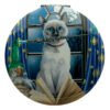 Collectable Design~Fun Collectable Lisa Parker Magical Cats Compact Mirror