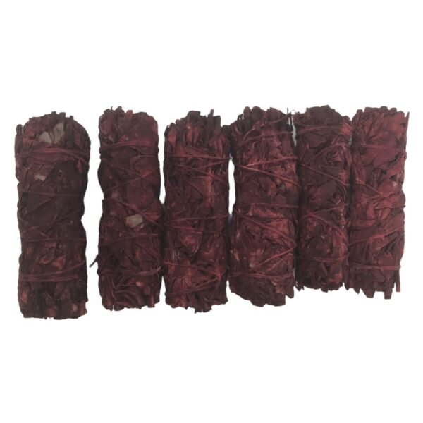 Witchcraft~Dragons Blood & White Sage Incense Wand 4" Cleansing Negativity Removal Stick