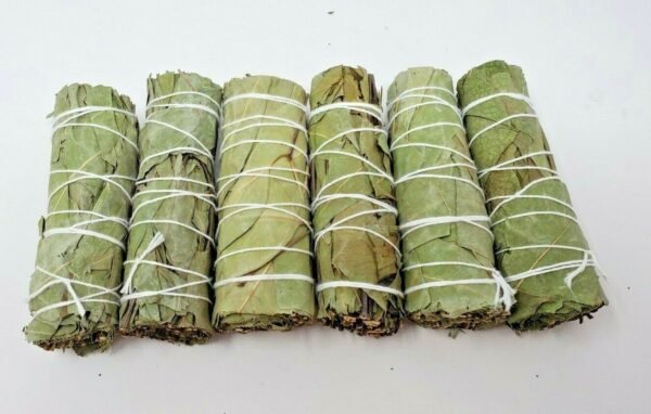 Palo Santo & Sage~6 Eucalyptus Sage Smudge Bundle 4"+ House Cleansing Negativity Removal
