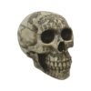 Witchcraft~Paranormal Carved Ouija Symbols Skull Skeleton Occult Figurine Halloween Head