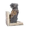 Magicun Giftware~Purring Pioneer Steampunk Katze Figur Bücherstütze Dekor Geschenk