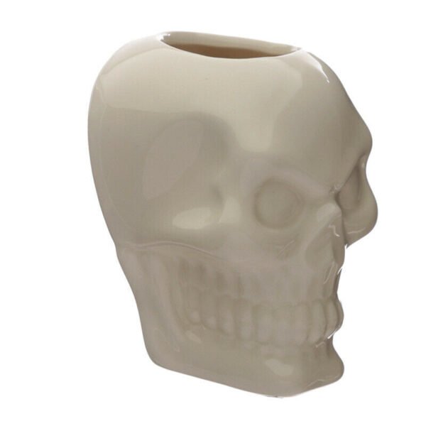 Home Decor~Decorative Ceramic Indoor Wall Planter - Skull