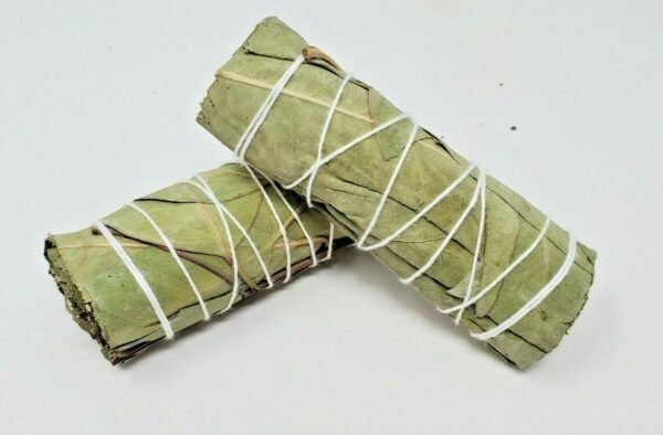 Palo Santo & Sage~2 Pack Eucalyptus Sage Smudge Bundle 4"+ House Cleansing Negativity Removal