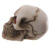 Home Decor~Novelty Mini Red Eyed Skull Decoration Ornament Fantasy Gothic Decoration